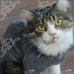 Светри ручної в'язки для котів